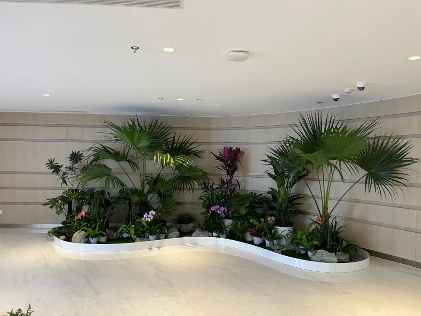 杭州湾花卉租摆公司 杭州湾花卉租摆公司